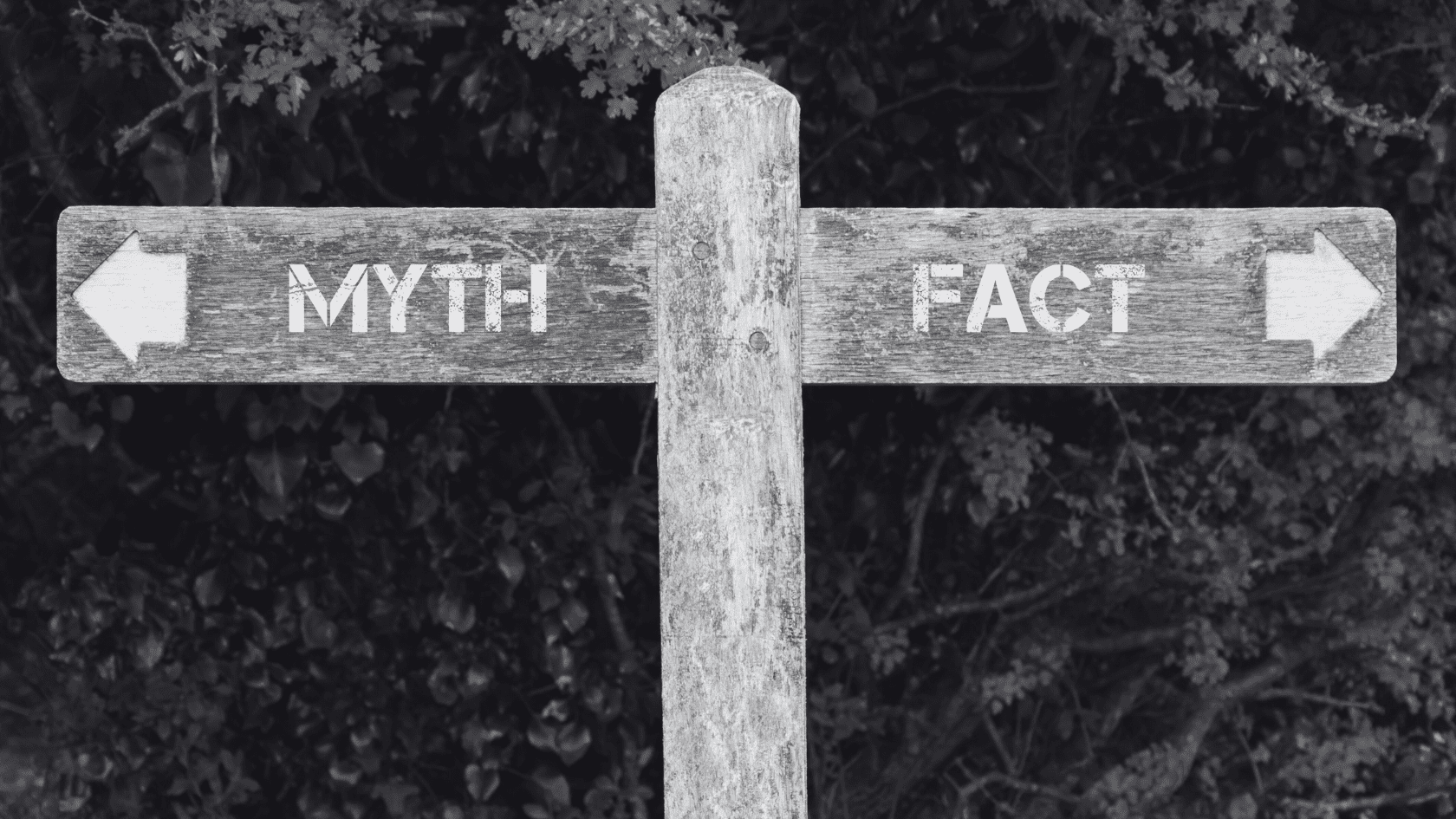 10 SEO Myths Debunked: Common SEO Myths You Need to Stop Believing Now